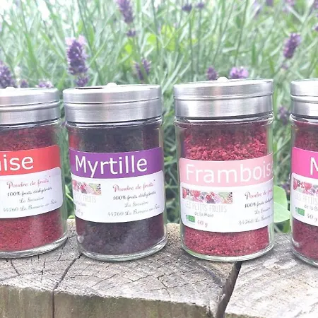 Framboises - Et Commerces A Proximite La Bernerie-en-Retz